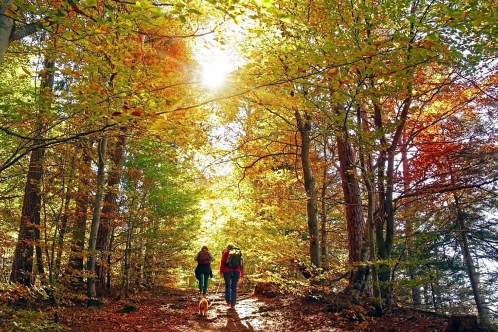 Outdoor & Survival Gear